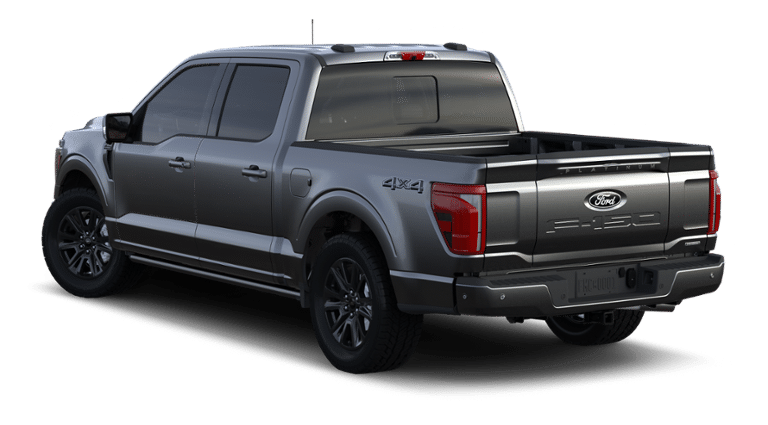 2024 Ford F-150 Vehicle Photo in Terrell, TX 75160